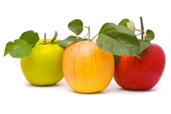 Червоне, жовте і зелене свіже яблуко — стокове фото