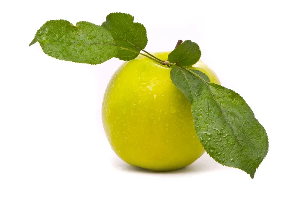 Zelená čerstvá jablečná s listy — Stock fotografie