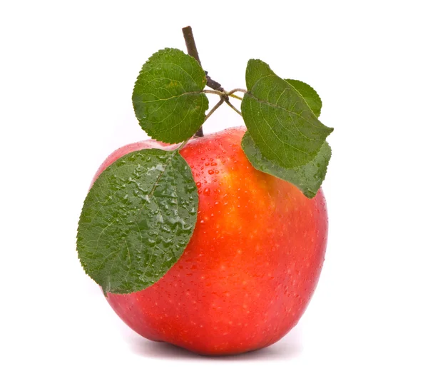 Червоний свіжих яблук — стокове фото