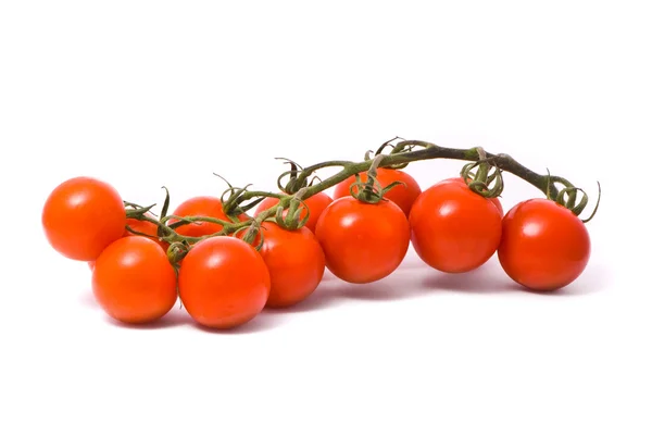 Tomates cereja em estúdio branco — Fotografia de Stock