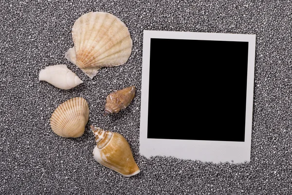 Moldura foto com conchas do mar — Fotografia de Stock