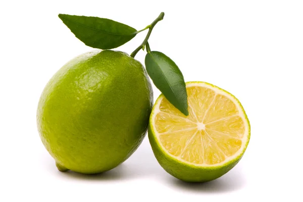 Lime with fresh leaves Stock Image