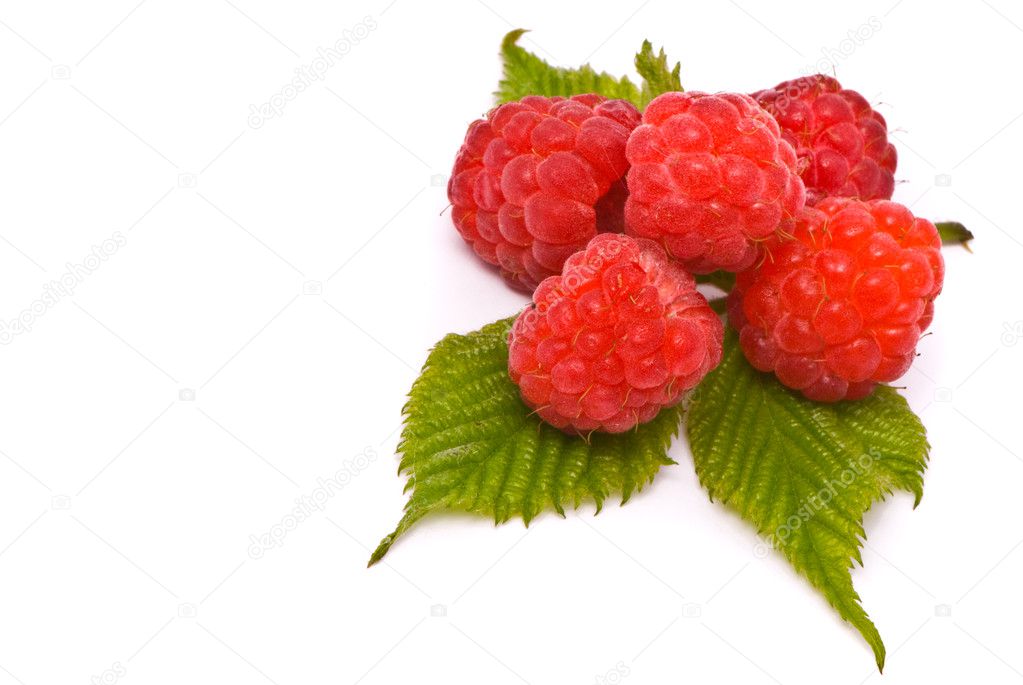 Forest raspberries. Macro shot