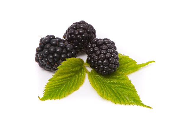 Beautiful blackberries. Macro shot. — Stock Photo, Image