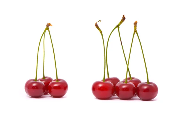 Fresh cherry on white background — Stock Photo, Image