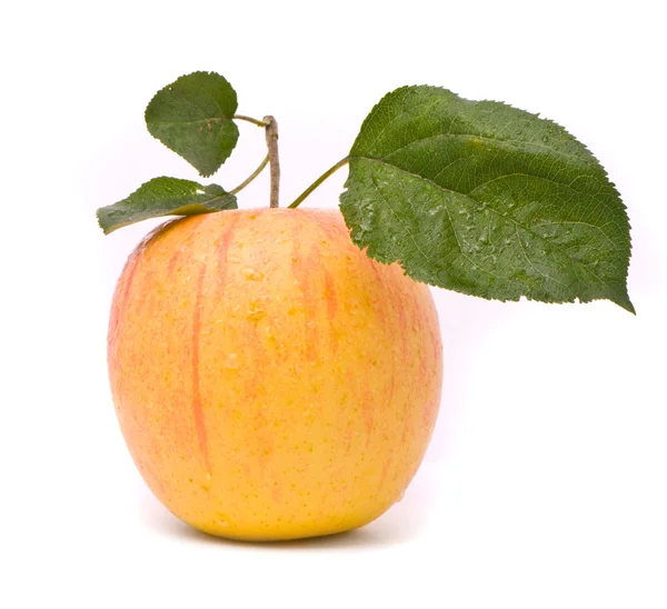 Жовте свіже яблуко з листям — стокове фото