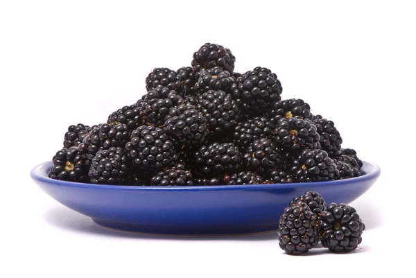 Verse blackberry in een blauw bord — Stockfoto