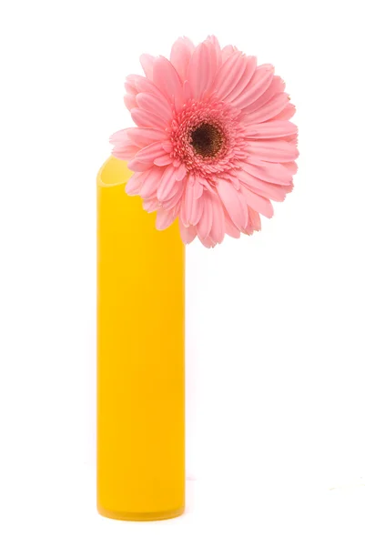 Розовый цветок гербер в желтой вазе — стоковое фото