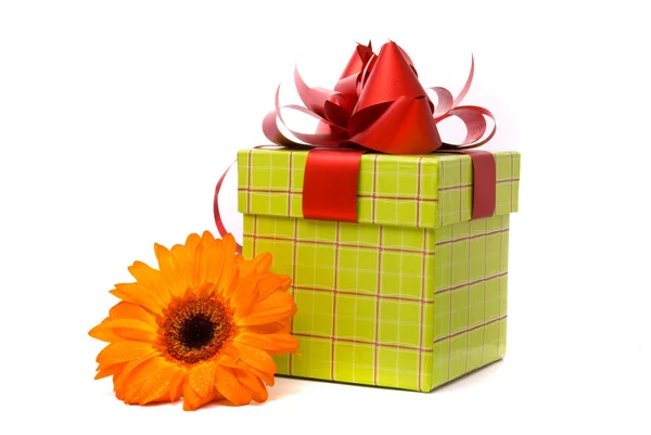 Turuncu gerber çiçek ve hediye kutusu — Stok fotoğraf