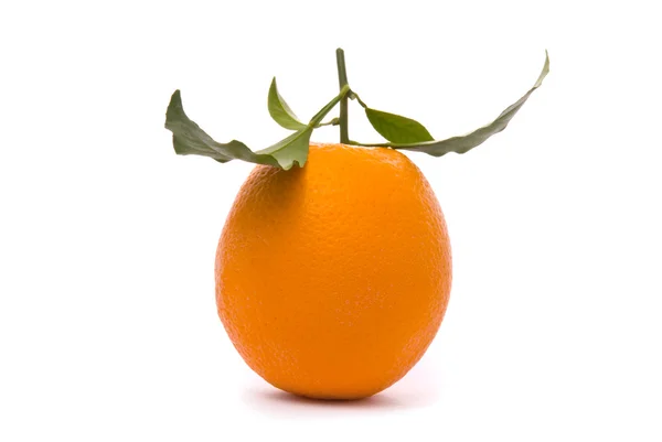 신선한 오렌지는 흰색 절연 — 스톡 사진