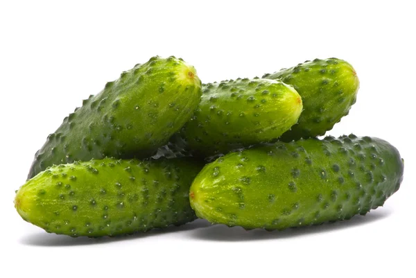Fresh cucumbers on studio white — Stock Photo, Image
