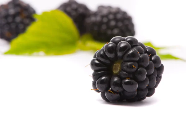 Beautiful blackberries. Macro shot. — Stock Photo, Image