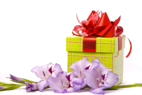 Beautiful Gladiolus and gift box — Stock Photo, Image