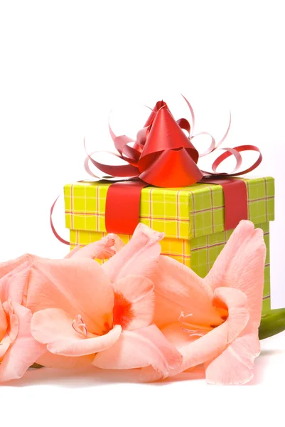 Beautiful gladiolus and gift box. — Stock Photo, Image