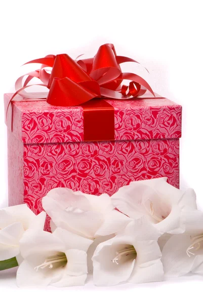 Schöne Gladiolen und Geschenkbox — Stockfoto