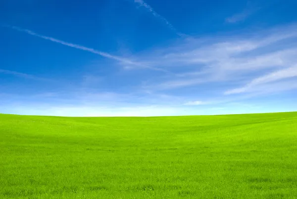 青い空と緑の野 — ストック写真