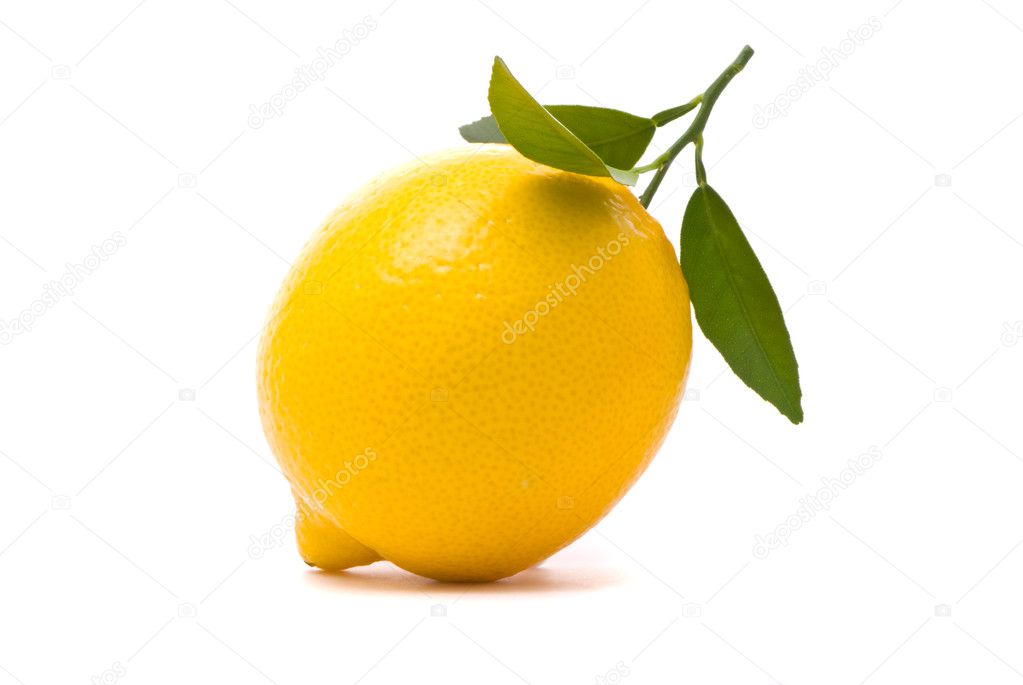 Lemon with fresh leaves. Macro shot
