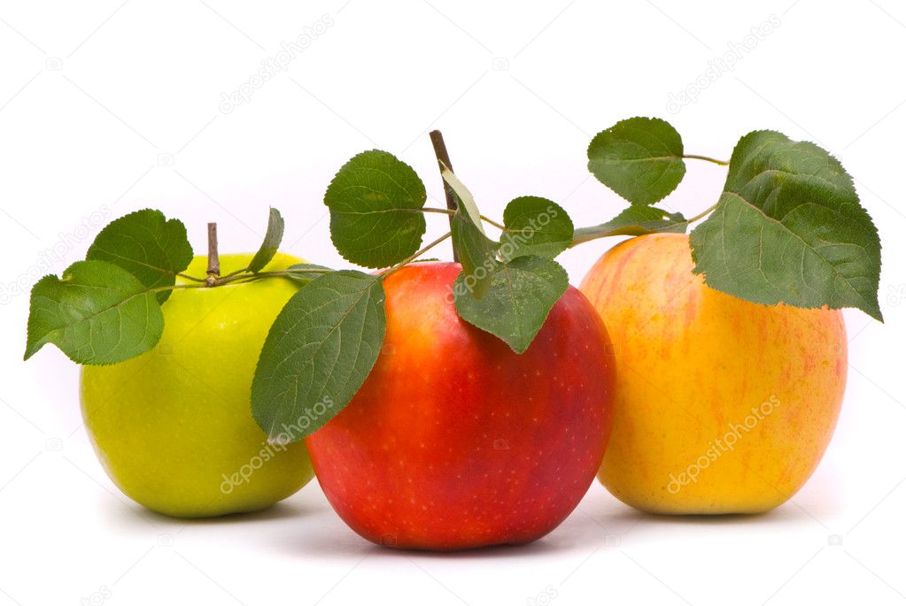 Red, yellow and green fresh apples