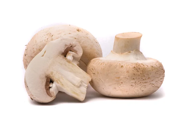 Frische Pilze isoliert auf einem weißen — Stockfoto