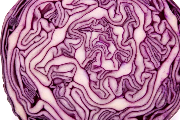 Close-up of a cut red cabbage — Stock Photo, Image