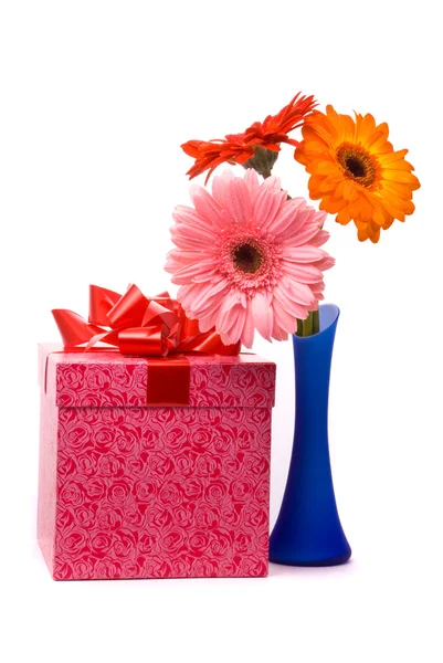蓝色花瓶里的美丽格柏鲜花 — 图库照片