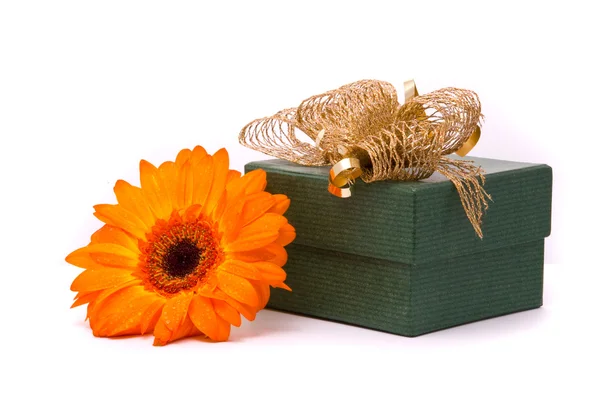 Turuncu gerber çiçek ve hediye kutusu — Stok fotoğraf