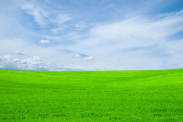 Blauer Himmel und grünes Feld — Stockfoto