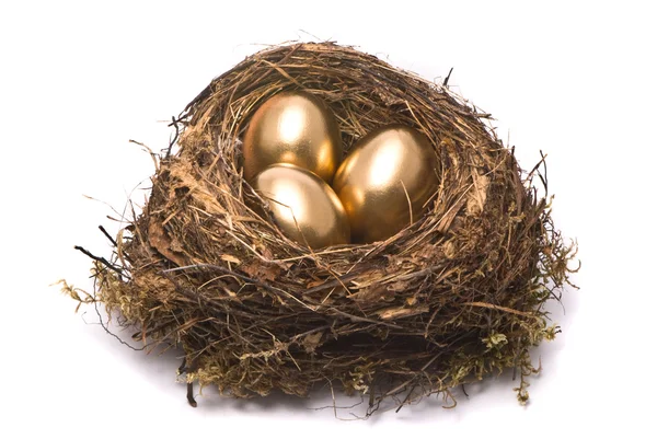 Guld ägg i ett rede — Stockfoto