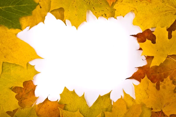 Herfst bladeren frame — Stockfoto