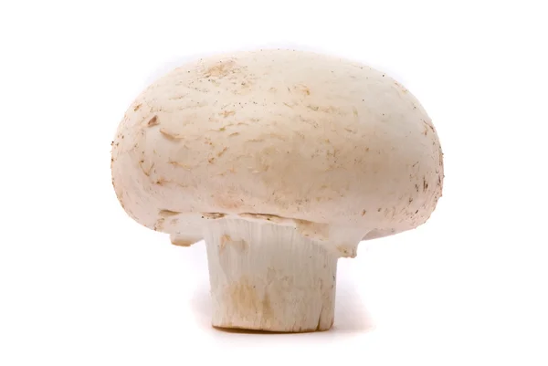Fresh mushroom isolated on a white — Stock Photo, Image