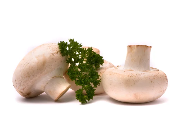 在白色上分离的新鲜蘑菇 — 图库照片