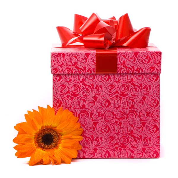 Flor de gerber laranja e caixa de presente — Fotografia de Stock