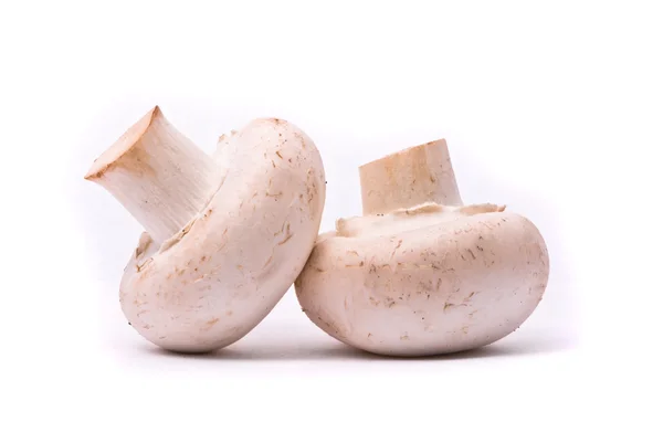 Свіжі гриби ізольовані на білому — стокове фото