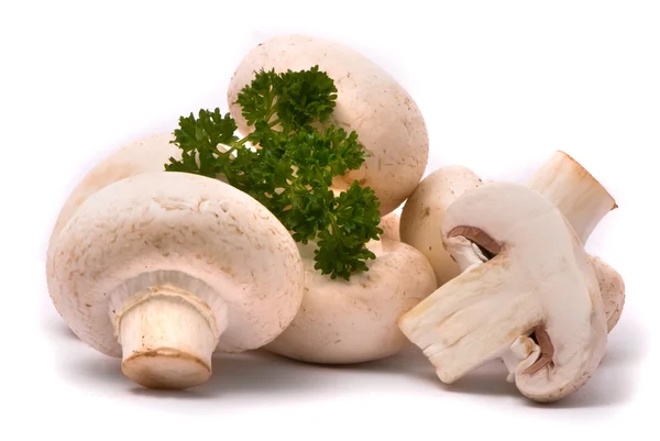 Fresh mushrooms — Stock Photo, Image