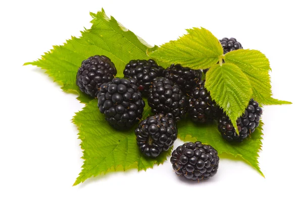 Beautiful blackberries. Macro shot — Stock Photo, Image