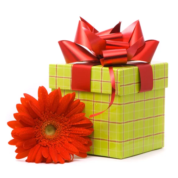 Röd gerber blomma och present box — Stockfoto