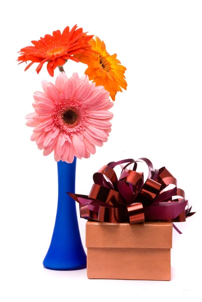 Красиві квіти-гербери в синій вазі — стокове фото