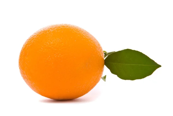 在一张白纸被隔绝的新鲜橘子 — 图库照片