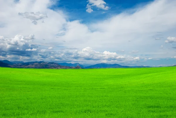 Modrá obloha a zelené pole — Stock fotografie