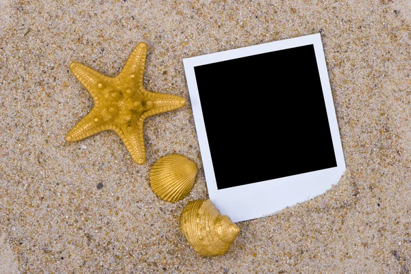 Photo frame with golden sea shells — Stock Photo, Image