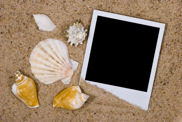 Marco de fotos con conchas marinas sobre arena — Foto de Stock