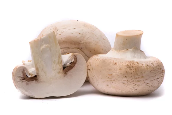 Frische Pilze isoliert auf weiß — Stockfoto