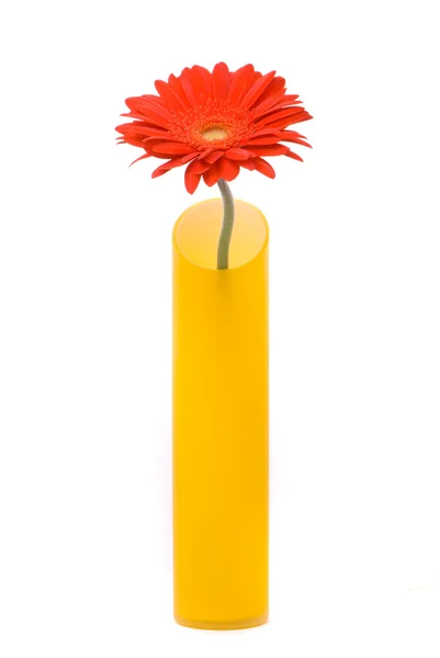 Red gerber flower in yellow vase — Stock Photo, Image