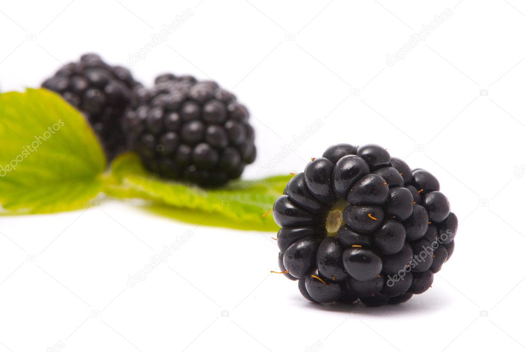 Beautiful blackberries. Macro shot