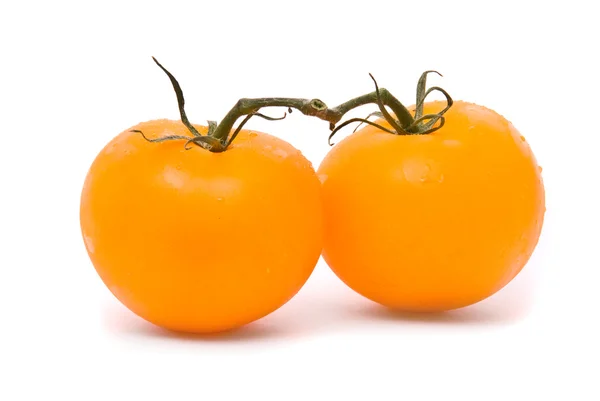 Taze domates. Beyaz Studio — Stok fotoğraf