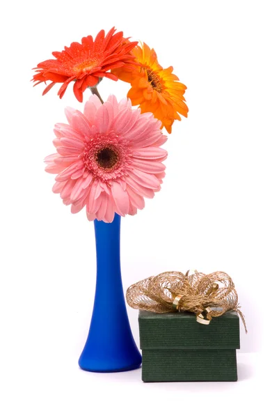 Gyönyörű gerber virágok — Stock Fotó
