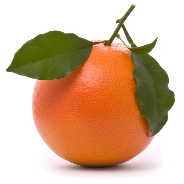 Свежий грейпфрут, изолированный на белом — стоковое фото