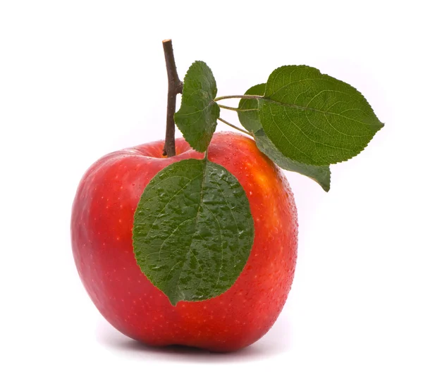 Red fresh apple with leaves — Stock Photo, Image