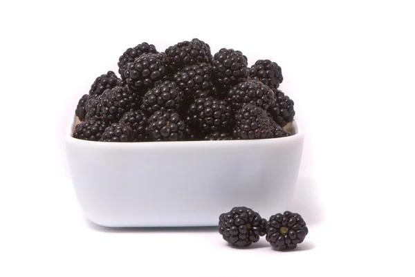 Świeże blackberry w białej płytce — Zdjęcie stockowe