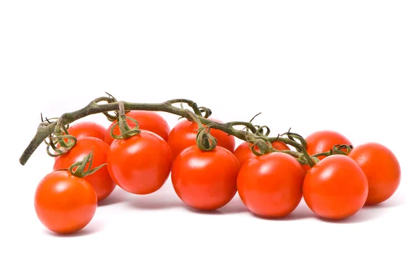 Tomates cereja em estúdio branco — Fotografia de Stock
